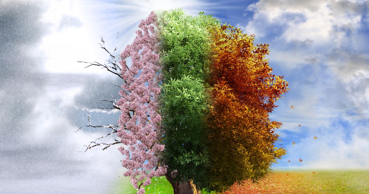 How The Seasons Affect Astrology and Zodiac Signs Horoscopist