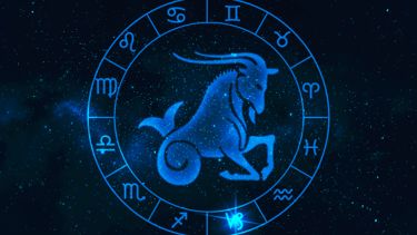 15 Things To Love About Capricorns