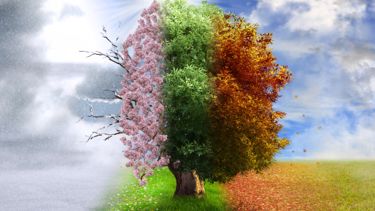 How The Seasons Affect Astrology and Zodiac Signs