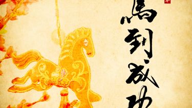 Discover 15 of the Horse's Unique Traits in the Chinese Zodiac