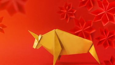 Discover 15 of the Ox's Unique Traits in the Chinese Zodiac