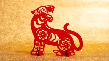Discover 15 of the Tiger's Unique Traits in the Chinese Zodiac