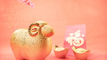 Discover 15 of the Goat's Unique Traits in the Chinese Zodiac