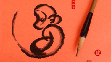 Discover 15 of the Monkey's Unique Traits in the Chinese Zodiac