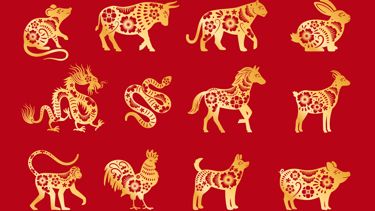 12 Signs of the Chinese Zodiac Explained