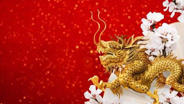 Navigating the Year of the Wood Dragon