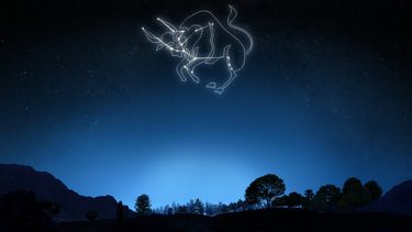 Top Personality Traits of a Taurus: Unveiling the Bull's Character