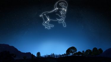 The Essential Taurus Guide: From Personality to Prosperity