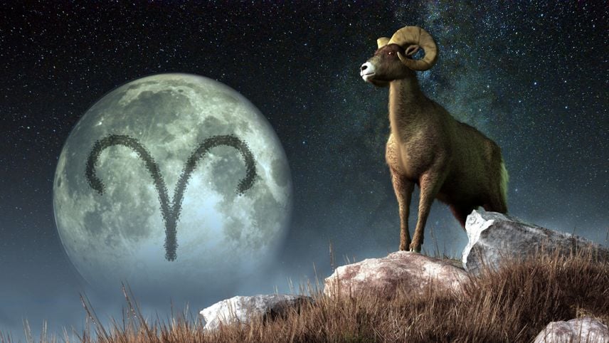Aries is the first sign of the Zodiac.