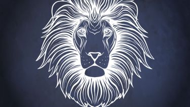 Nurturing Bonds with the Leo in Your Life