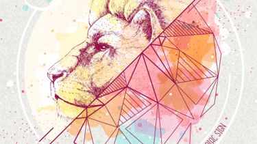 Roaring with Radiance: A Comprehensive Guide to the Leo Zodiac Sign