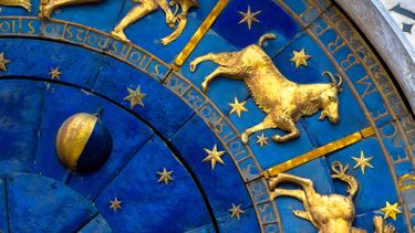 Capricorn's Path to Professional Success