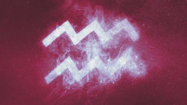 Aquarius and Their Professional Journey